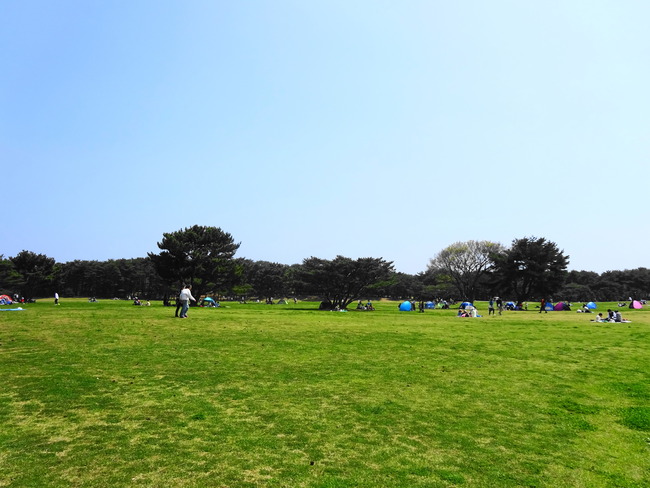 ひたち海浜公園に広がる景色