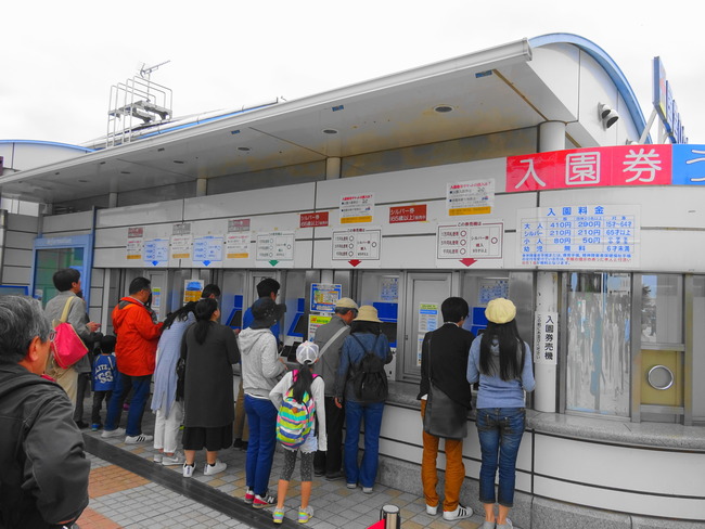 茨城 ネモフィラ 入園口