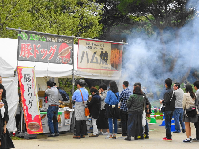 茨城 ネモフィラ 