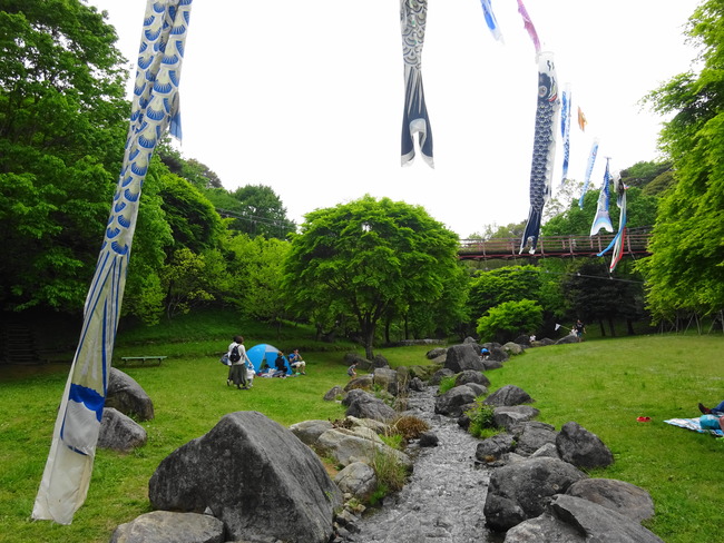 涸沼自然公園｜子供が喜ぶ川遊び！キャンプもできる湖畔の公園 - いばらじお♪