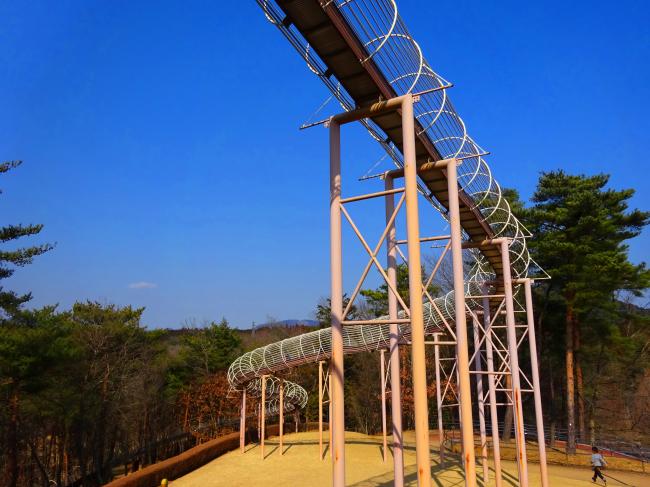 笠間芸術の森公園 森の中を走るロングすべり台の様子