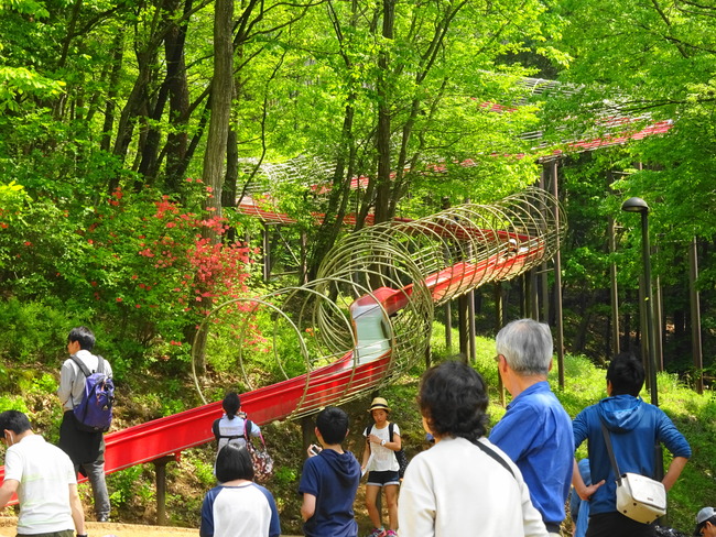 笠間芸術の森公園 新緑の季節は緑が綺麗