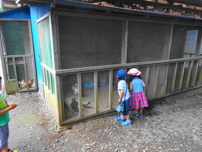 水戸森林公園 の鳥小屋を覗く子供
