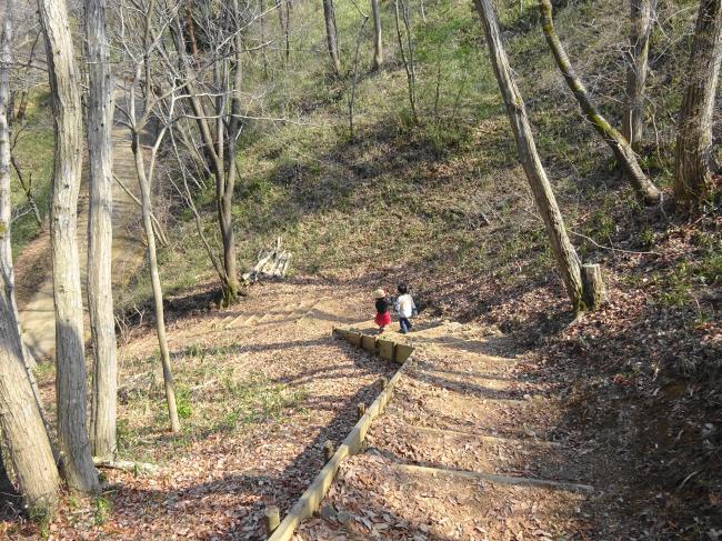 水戸森林公園 の遊歩道