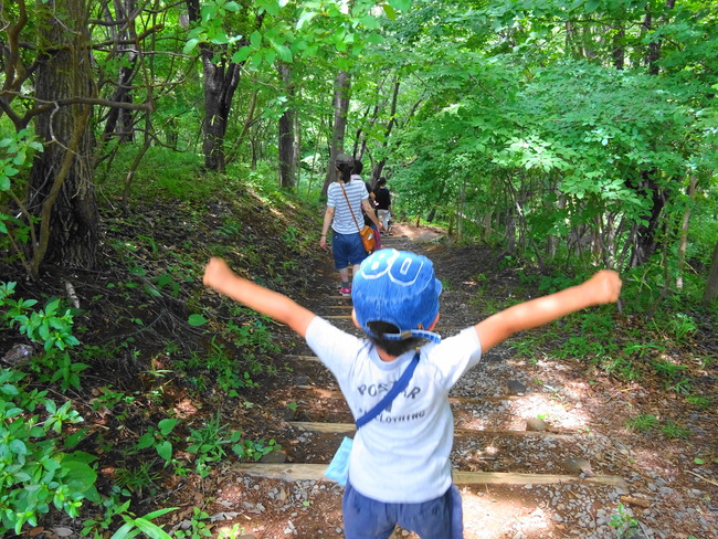 水戸森林公園 新緑の季節の遊歩道