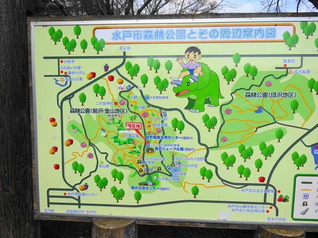 水戸森林公園 と周辺の案内図