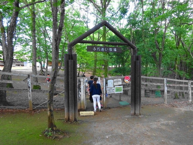 水戸森林公園 のふれあい牧場