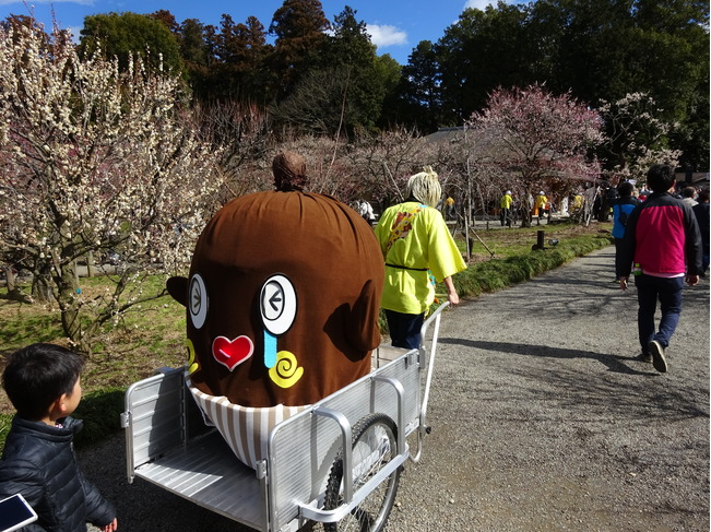 ねばーる君は芸能人?!ブログへの写真掲載を問い合わせてみたよ - いばらじお♪