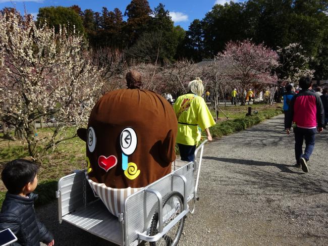 水戸の梅まつりイベント リヤカーで護送され泣いている「ねば～る君」