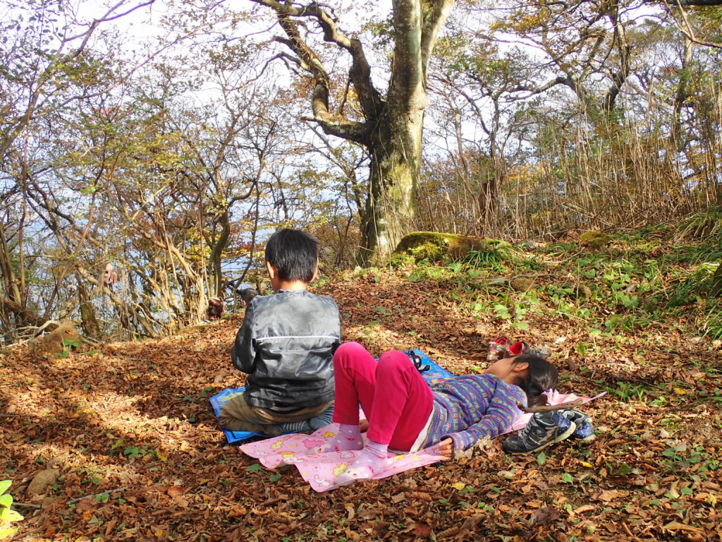 筑波山 子ども登山 筑波山は子供でも登れる 6 7歳児と一緒に登頂に成功