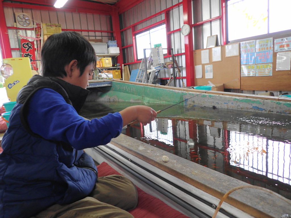 釣り堀を楽しむ子ども