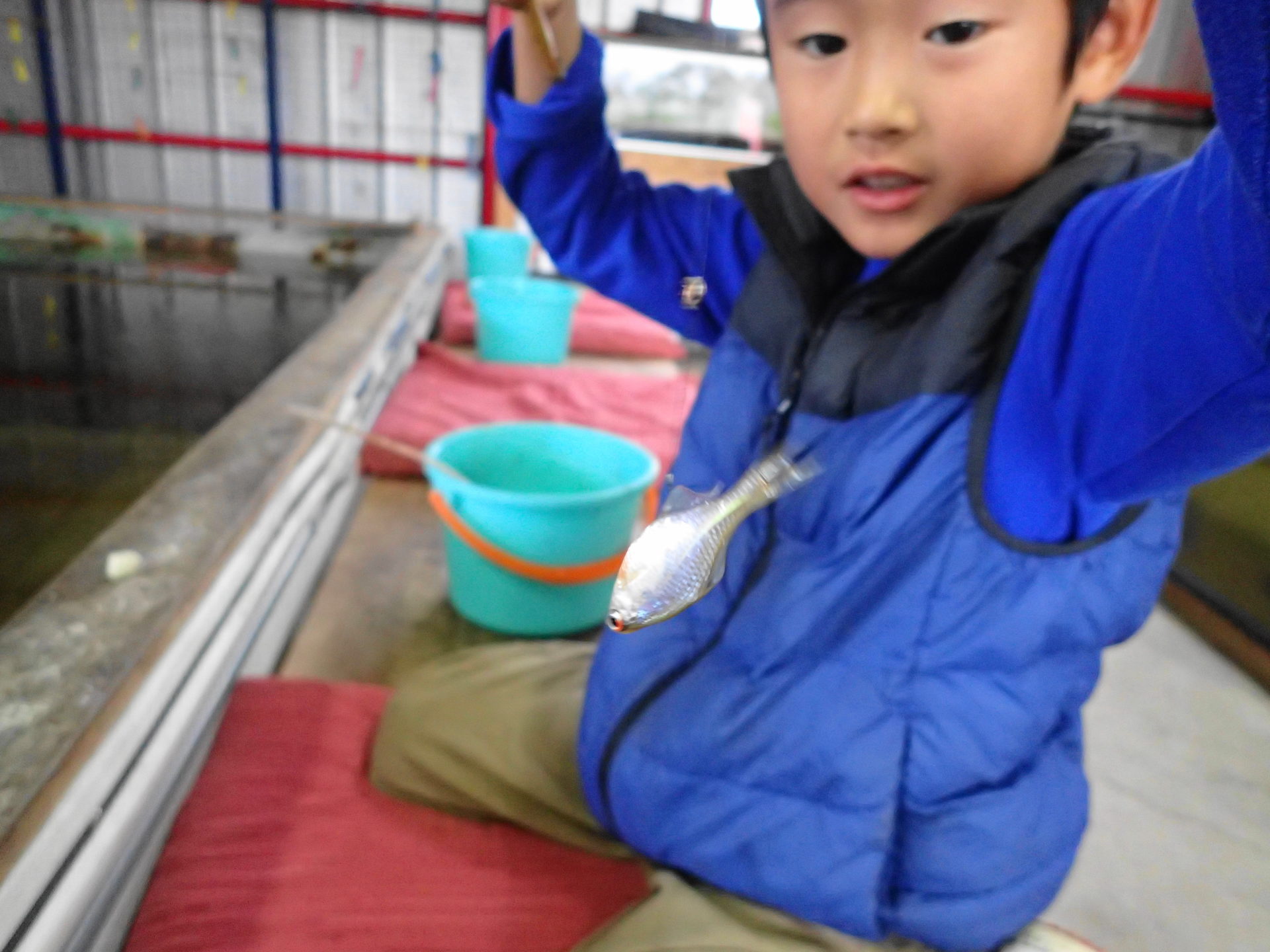 釣り堀でタナゴを釣る子ども