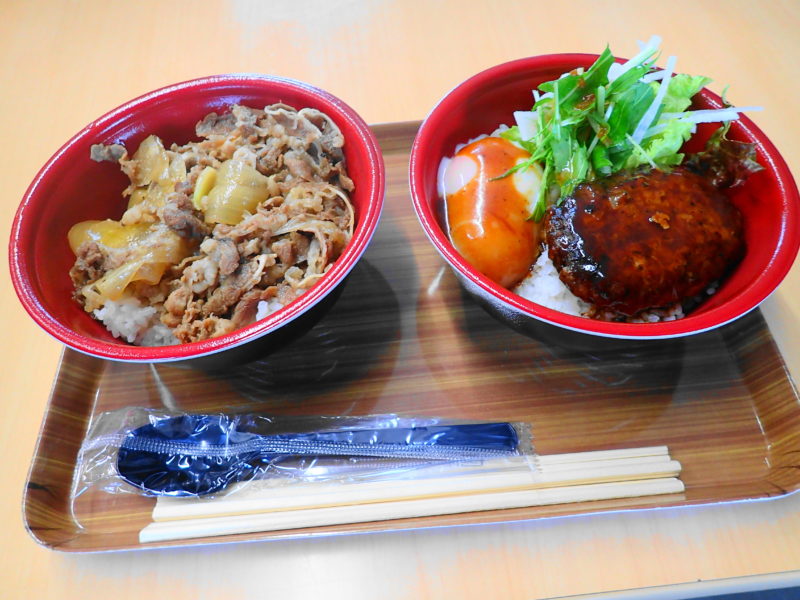 牛丼とハンバーグ丼