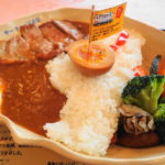 藤井川ダムカレー