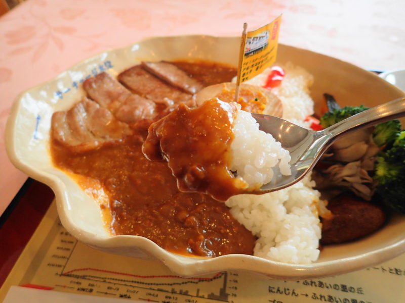 藤井川ダムカレー ライスとルー