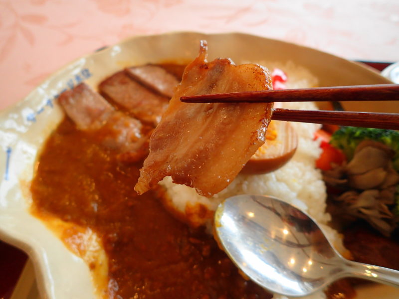 藤井川ダムカレー お肉