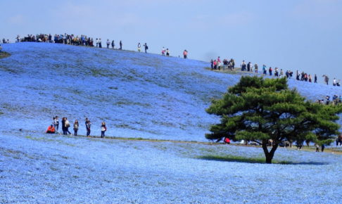 アド街ック天国 ひたちなか