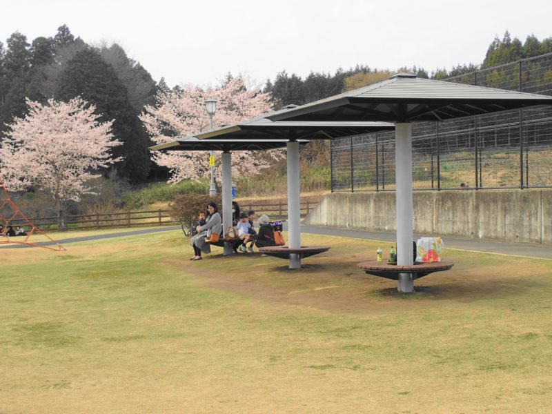 笠間市総合公園 ベンチ