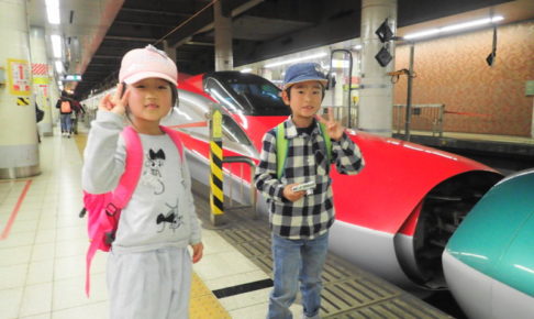 上野駅で子どもと新幹線を見学