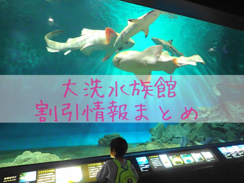 大洗水族館の割引券とクーポン入手方法 ［保存版］ - いばらじお