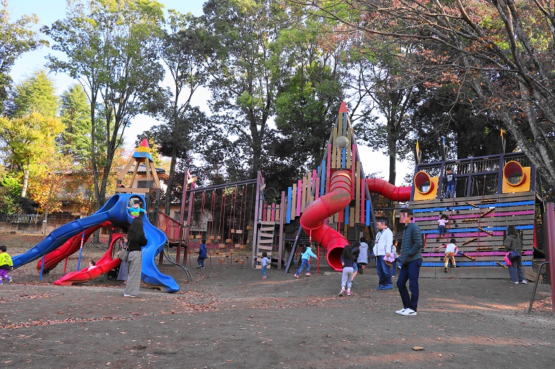 「千波公園少年の森 」の遊具